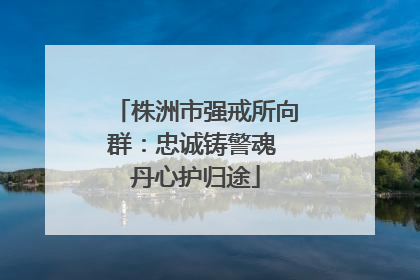 株洲市强戒所向群：忠诚铸警魂 丹心护归途