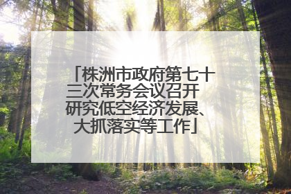 株洲市政府第七十三次常务会议召开 研究低空经济发展、大抓落实等工作