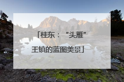 桂东：“头雁”王镇的蓝图美景