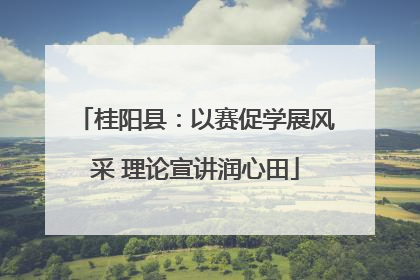 桂阳县：以赛促学展风采 理论宣讲润心田