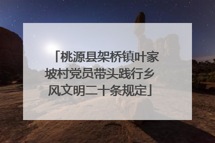 桃源县架桥镇叶家坡村党员带头践行乡风文明二十条规定