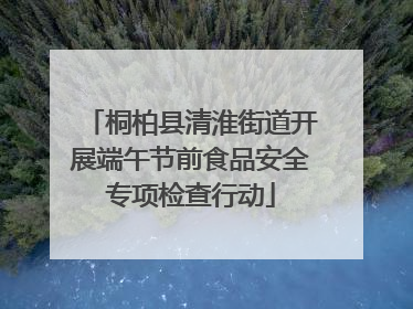 桐柏县清淮街道开展端午节前食品安全专项检查行动