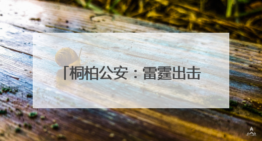 桐柏公安：雷霆出击严查“小广告” 斩断电诈“黑引流”