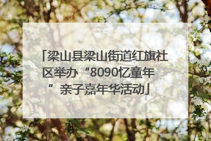 梁山县梁山街道红旗社区举办“8090忆童年”亲子嘉年华活动