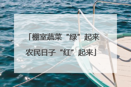 棚室蔬菜“绿”起来 农民日子“红”起来