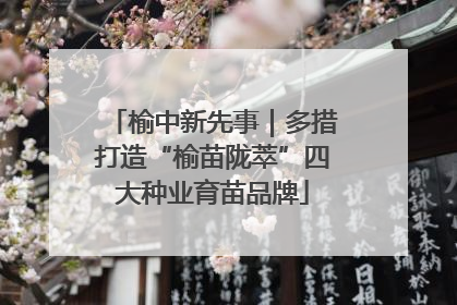 榆中新先事｜多措打造“榆苗陇萃”四大种业育苗品牌