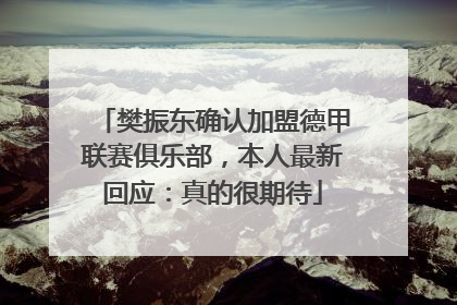 樊振东确认加盟德甲联赛俱乐部，本人最新回应：真的很期待