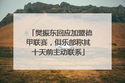 樊振东回应加盟德甲联赛，俱乐部称其十天前主动联系