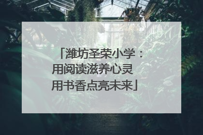 潍坊圣荣小学：用阅读滋养心灵 用书香点亮未来