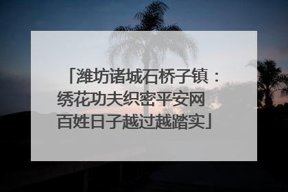 潍坊诸城石桥子镇：绣花功夫织密平安网 百姓日子越过越踏实