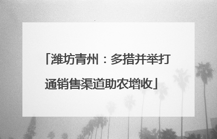 潍坊青州：多措并举打通销售渠道助农增收