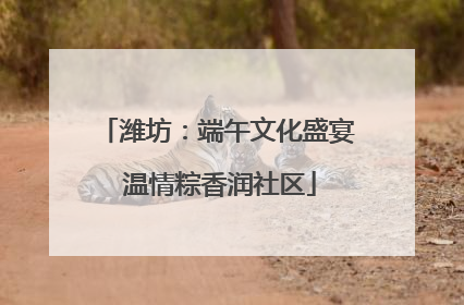 潍坊：端午文化盛宴 温情粽香润社区