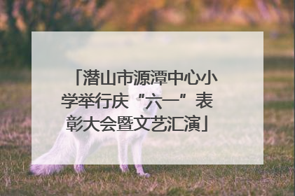 潜山市源潭中心小学举行庆“六一”表彰大会暨文艺汇演