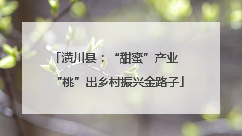 潢川县：“甜蜜”产业  “桃”出乡村振兴金路子