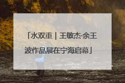 水双重｜王敏杰·余王波作品展在宁海启幕