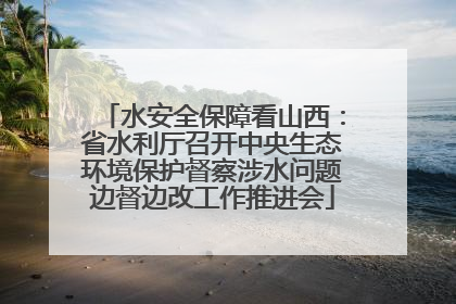 水安全保障看山西：省水利厅召开中央生态环境保护督察涉水问题边督边改工作推进会