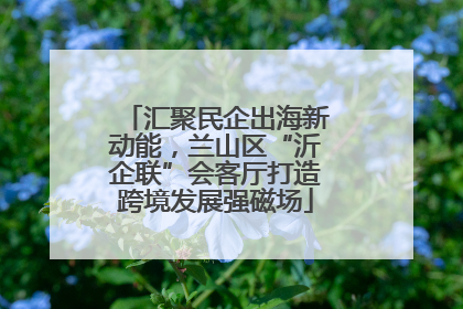 汇聚民企出海新动能，兰山区“沂企联”会客厅打造跨境发展强磁场