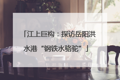 江上巨构：探访岳阳洪水港“钢铁水骆驼”