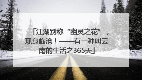江湖别称“幽灵之花”，现身临沧！——有一种叫云南的生活之365天