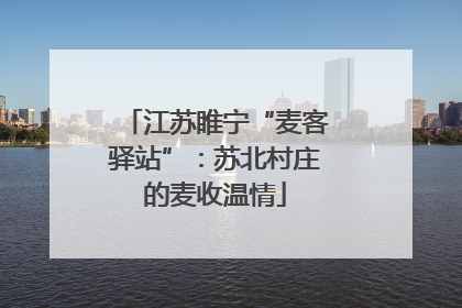 江苏睢宁“麦客驿站”：苏北村庄的麦收温情