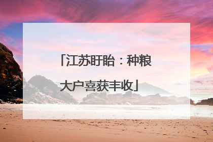江苏盱眙：种粮大户喜获丰收