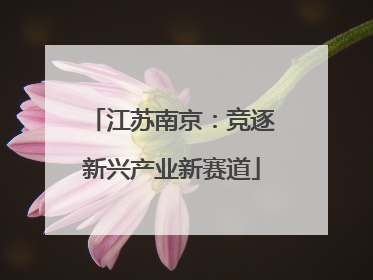 江苏南京：竞逐新兴产业新赛道