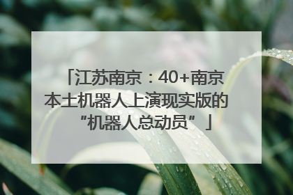 江苏南京：40+南京本土机器人上演现实版的“机器人总动员”