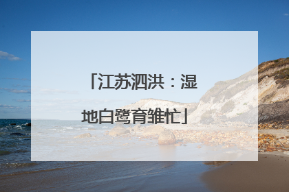 江苏泗洪：湿地白鹭育雏忙