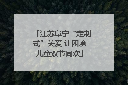 江苏阜宁“定制式”关爱 让困境儿童双节同欢