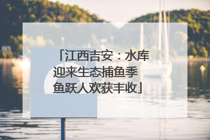 江西吉安：水库迎来生态捕鱼季 鱼跃人欢获丰收