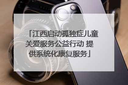 江西启动孤独症儿童关爱服务公益行动 提供系统化康复服务