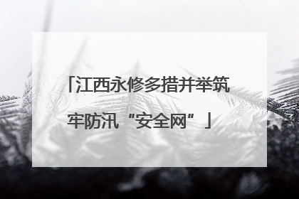 江西永修多措并举筑牢防汛“安全网”
