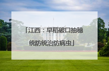 江西：早稻破口抽穗 统防统治防病虫