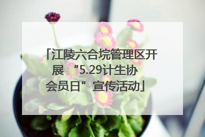 江陵六合垸管理区开展 “5.29计生协会员日”宣传活动