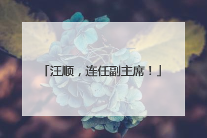 汪顺，连任副主席！