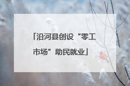 沿河县创设“零工市场”助民就业
