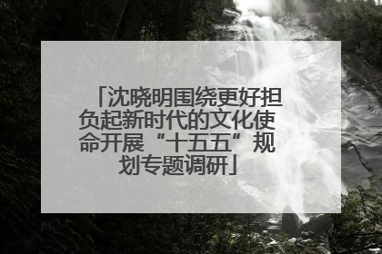 沈晓明围绕更好担负起新时代的文化使命开展“十五五”规划专题调研