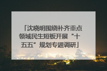 沈晓明围绕补齐重点领域民生短板开展“十五五”规划专题调研