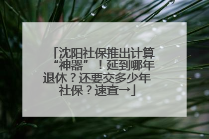 沈阳社保推出计算“神器”！延到哪年退休？还要交多少年社保？速查→