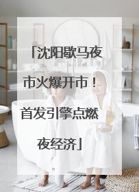 沈阳歇马夜市火爆开市！首发引擎点燃夜经济
