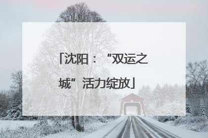 沈阳：“双运之城”活力绽放