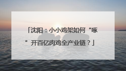 沈阳：小小鸡架如何“啄”开百亿肉鸡全产业链？