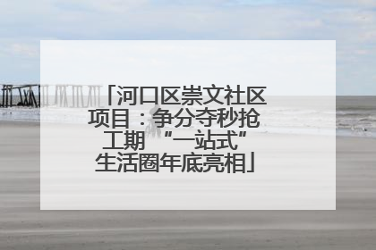 河口区崇文社区项目：争分夺秒抢工期 “一站式”生活圈年底亮相