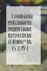 河南省检察院调研组到濮阳调研指导社区矫正和财产执行工作