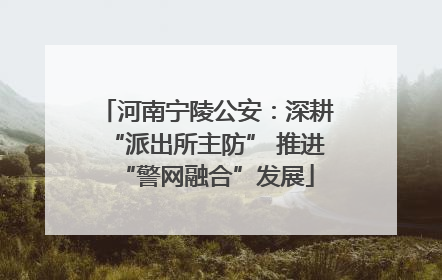 河南宁陵公安：深耕“派出所主防” 推进“警网融合”发展