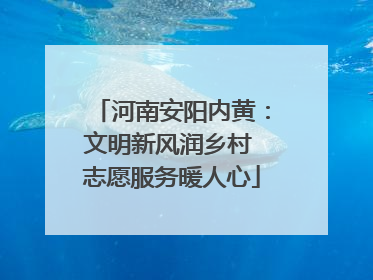 河南安阳内黄：文明新风润乡村 志愿服务暖人心