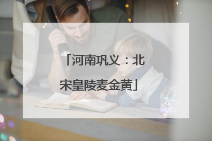 河南巩义：北宋皇陵麦金黄