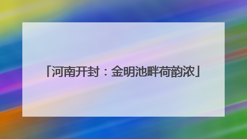 河南开封：金明池畔荷韵浓