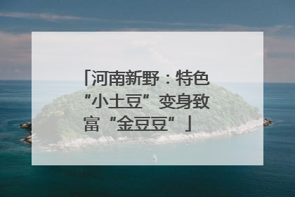 河南新野：特色“小土豆”变身致富“金豆豆”