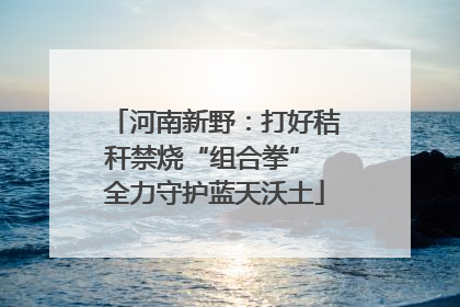 河南新野：打好秸秆禁烧“组合拳” 全力守护蓝天沃土